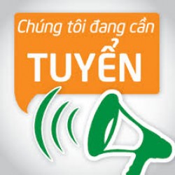 Tuyển nhân viên SEO website